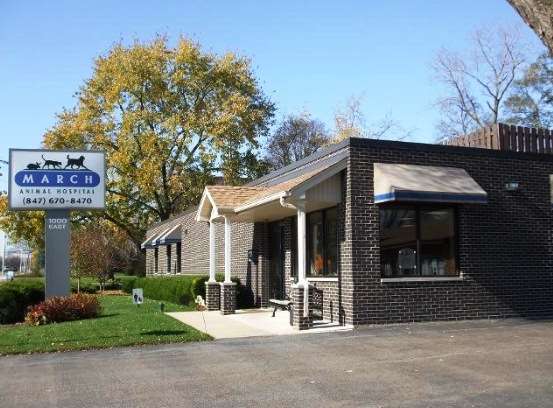 March Animal Hospital | 1000 E Central Rd, Arlington Heights, IL 60005, USA | Phone: (847) 670-8470