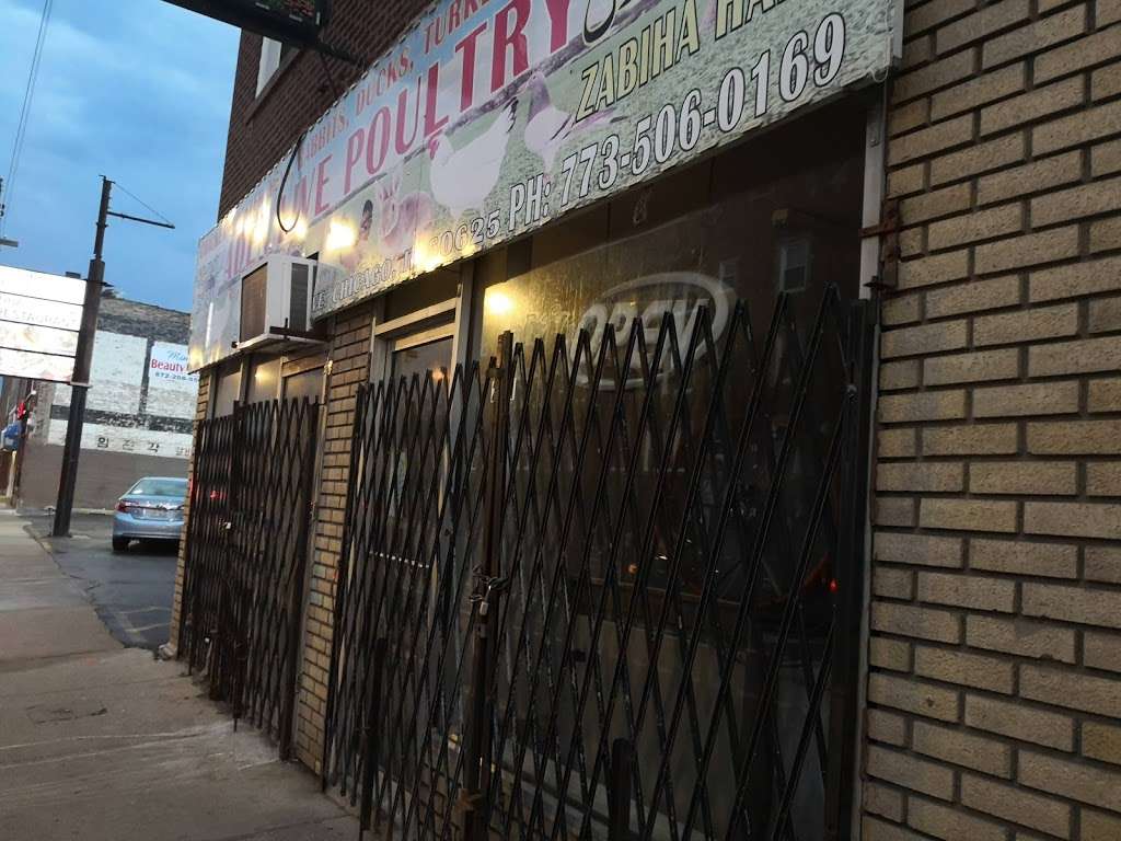 Aden Live Poultry | 2731 W Lawrence Ave # 1, Chicago, IL 60625, USA | Phone: (773) 506-0169