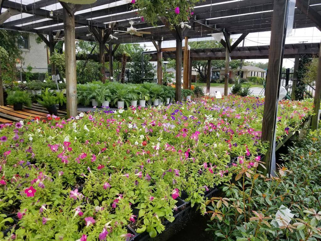 Cristinas Garden Center | 4617 W Lovers Ln, Dallas, TX 75209, USA | Phone: (214) 357-5626