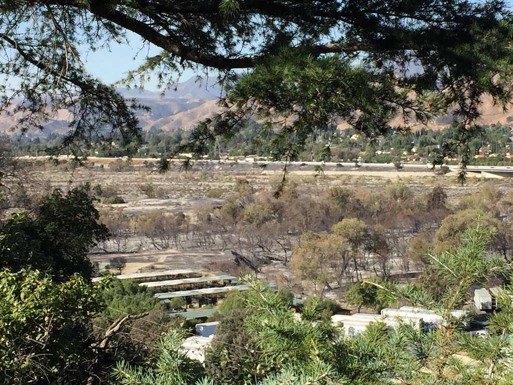 Tujunga Ponds Wildlife Sanctuary | 10711-10749 Foothill Fwy, Sunland-Tujunga, CA 91040 | Phone: (661) 944-6881