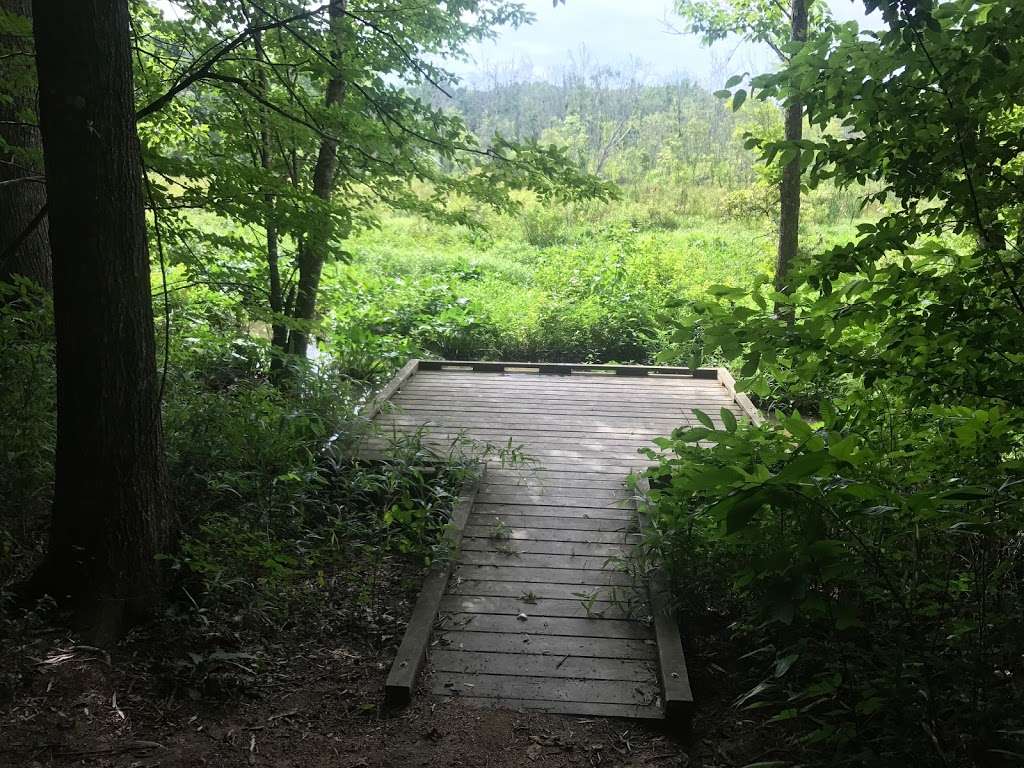 West Branch Rocky River/West Branch Nature Trailhead | 17524 Gillican Overlook, Davidson, NC 28036, USA | Phone: (704) 376-2556