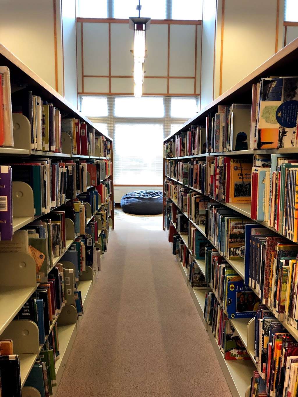 Evanston Public Library | 1703 Orrington Ave, Evanston, IL 60201, USA | Phone: (847) 448-8600