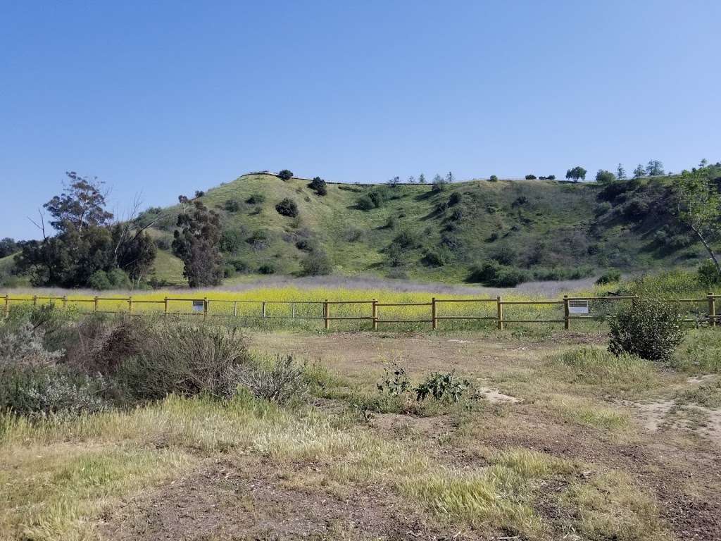 Chino Hills State Park Discovery Center | 4500 Carbon Canyon Rd, Brea, CA 92823 | Phone: (714) 524-2471