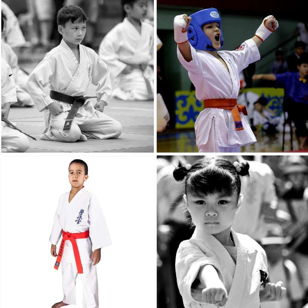 Dallas Kyokushin Karate | Alpha Midway Dance Studio, 13740 Midway Rd #714, Dallas, TX 75244, USA | Phone: (972) 695-9810