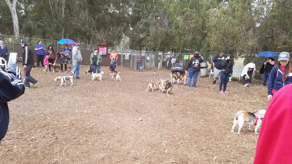 Central Park Dog Park | Edwards St, Huntington Beach, CA 92647 | Phone: (714) 536-5486