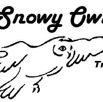 Snowy Owl Transportation USA, Inc. | 10440 Windfern Rd, Houston, TX 77064, USA | Phone: (888) 601-2202