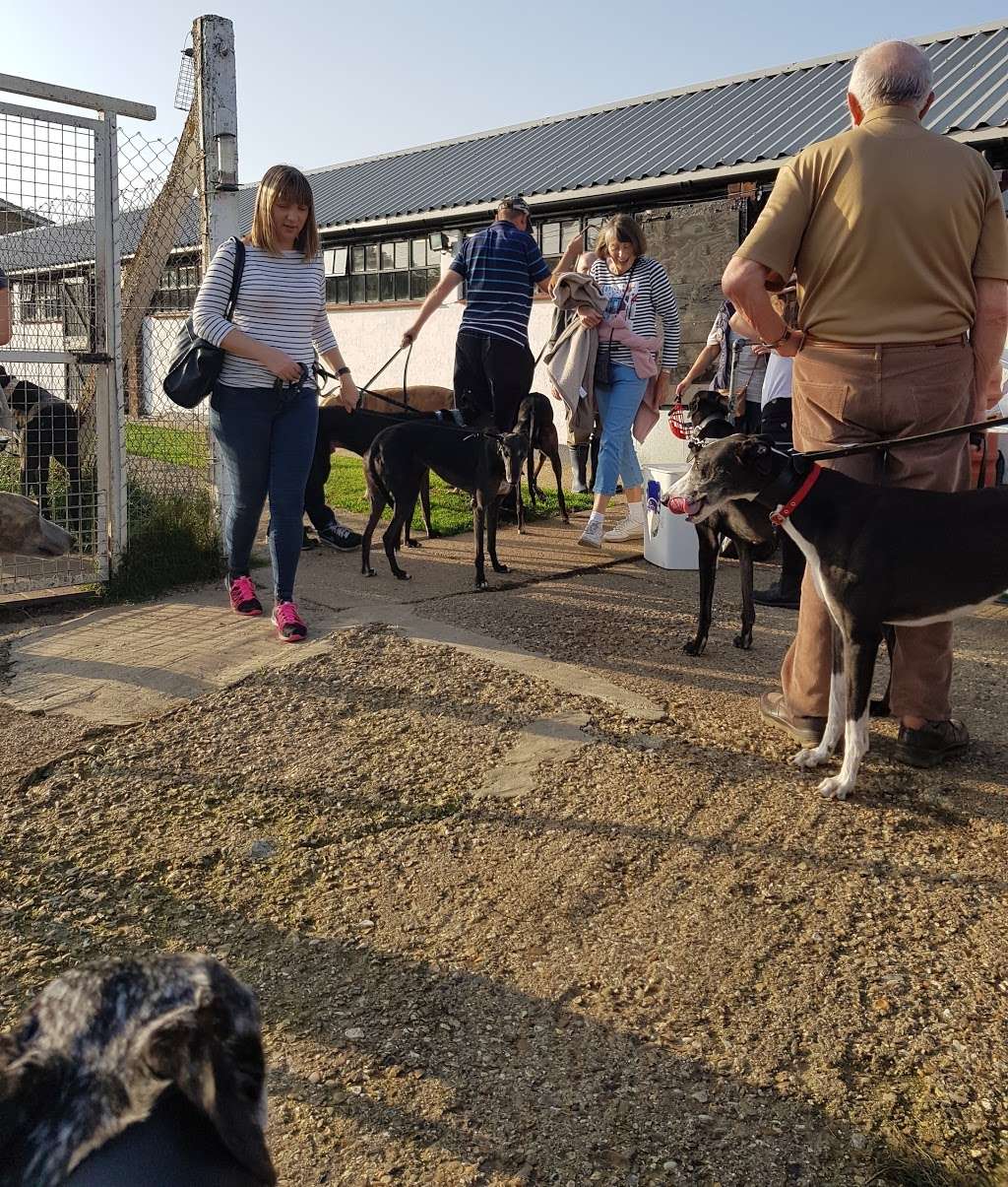 Whittingham Kennels - Greyhound Trust Henlow and Waltham Abbey | 6 Claverhambury Rd, Waltham Abbey EN9 2BL, UK | Phone: 020 8444 9649