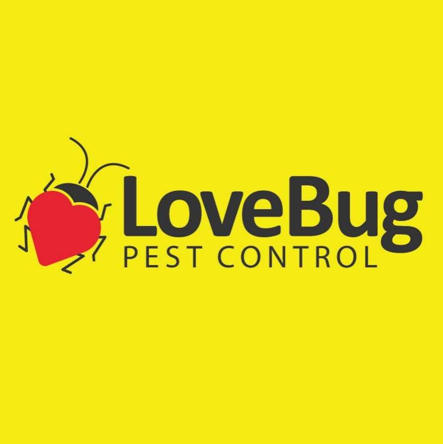 LoveBug Pest Control | 17170 Jordan Rd Ste. 402, Selma, TX 78154, USA | Phone: (210) 396-7100 LoveBug Pest Control | 17170 Jordan Rd Ste. 402, Selma, TX 78154, USA | Phone: (210) 396-7100