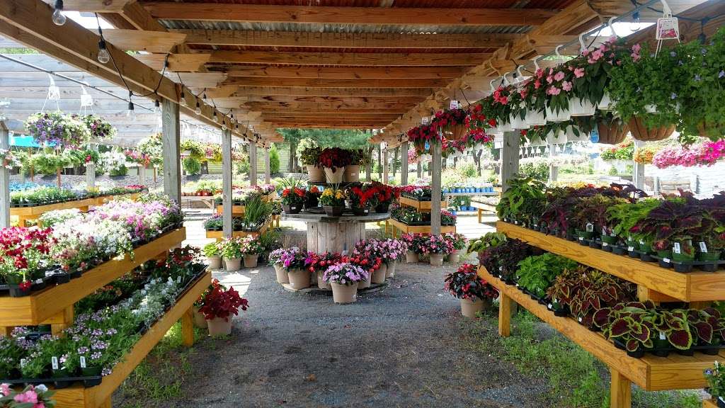 Bast Brothers Garden Center | 1214 Ellis Mill Rd, Mullica Hill, NJ 08062, USA | Phone: (856) 612-5344