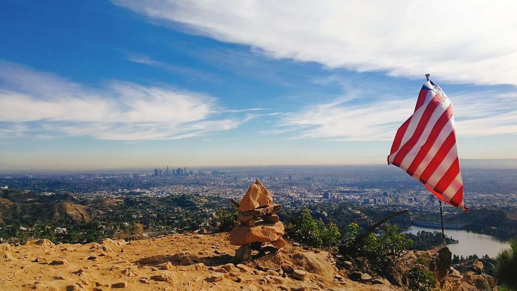 Wisdom tree | 3052 Lake Hollywood Dr, Los Angeles, CA 90068, USA