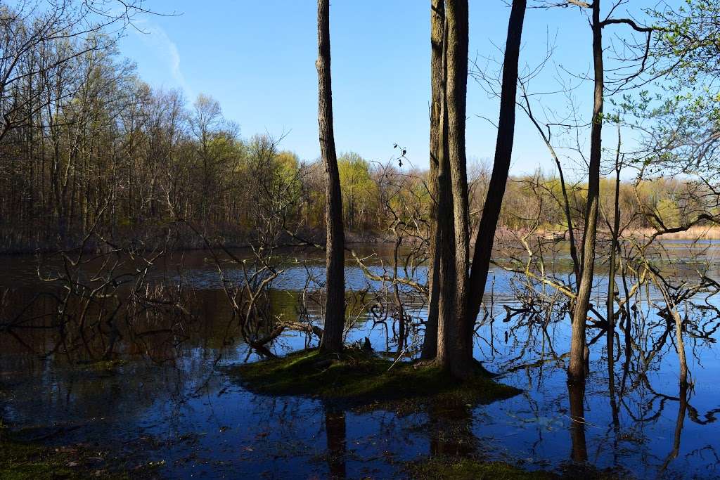 Sharrotts Pond | 1948-2438 Veterans Rd W, Staten Island, NY 10309