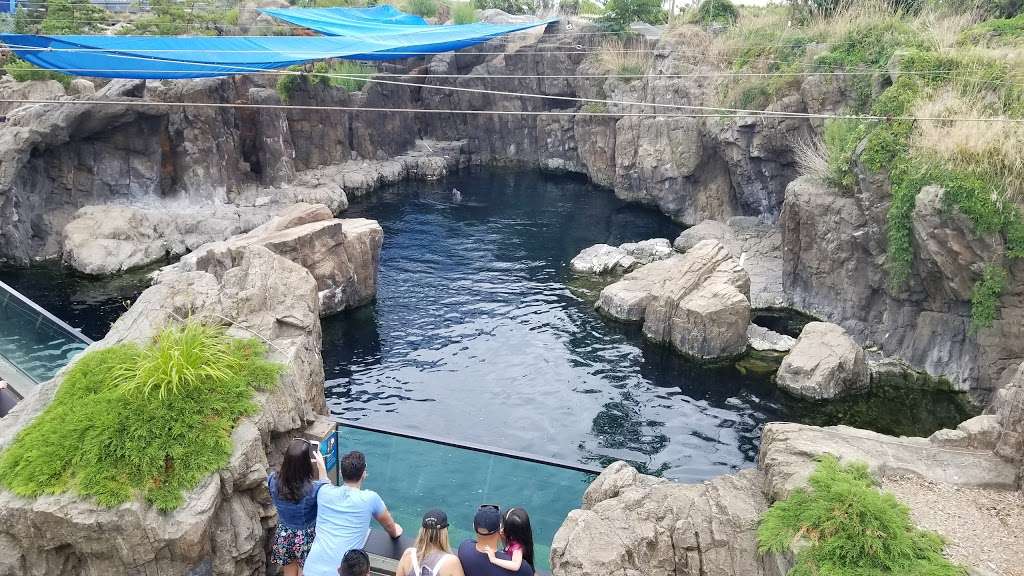 New York Aquarium | 602 Surf Ave, Brooklyn, NY 11224, USA | Phone: (718) 265-3474