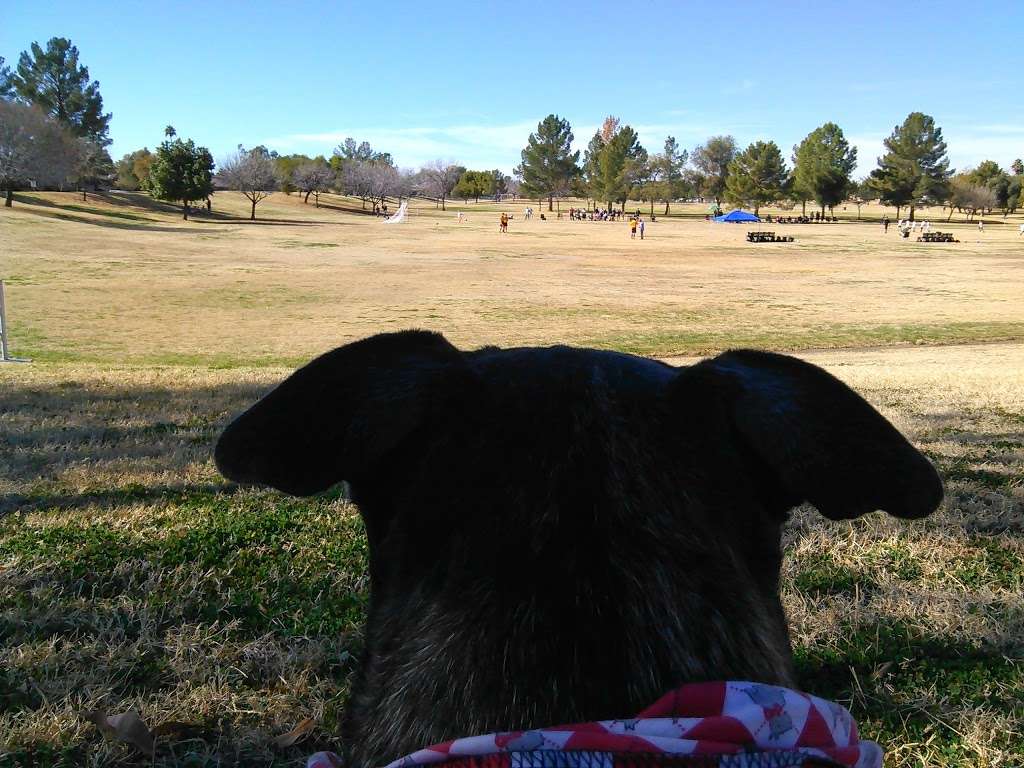 Crossed Arrows Park | 6102 E Acoma Rd, Scottsdale, AZ 85254, USA | Phone: (602) 262-6696