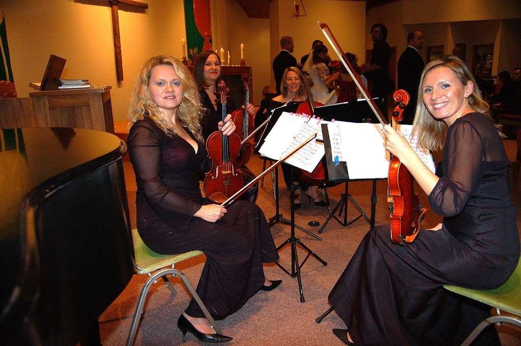 European String Quartet | 247 Ascot Ln, Streamwood, IL 60107, USA | Phone: (773) 744-1362