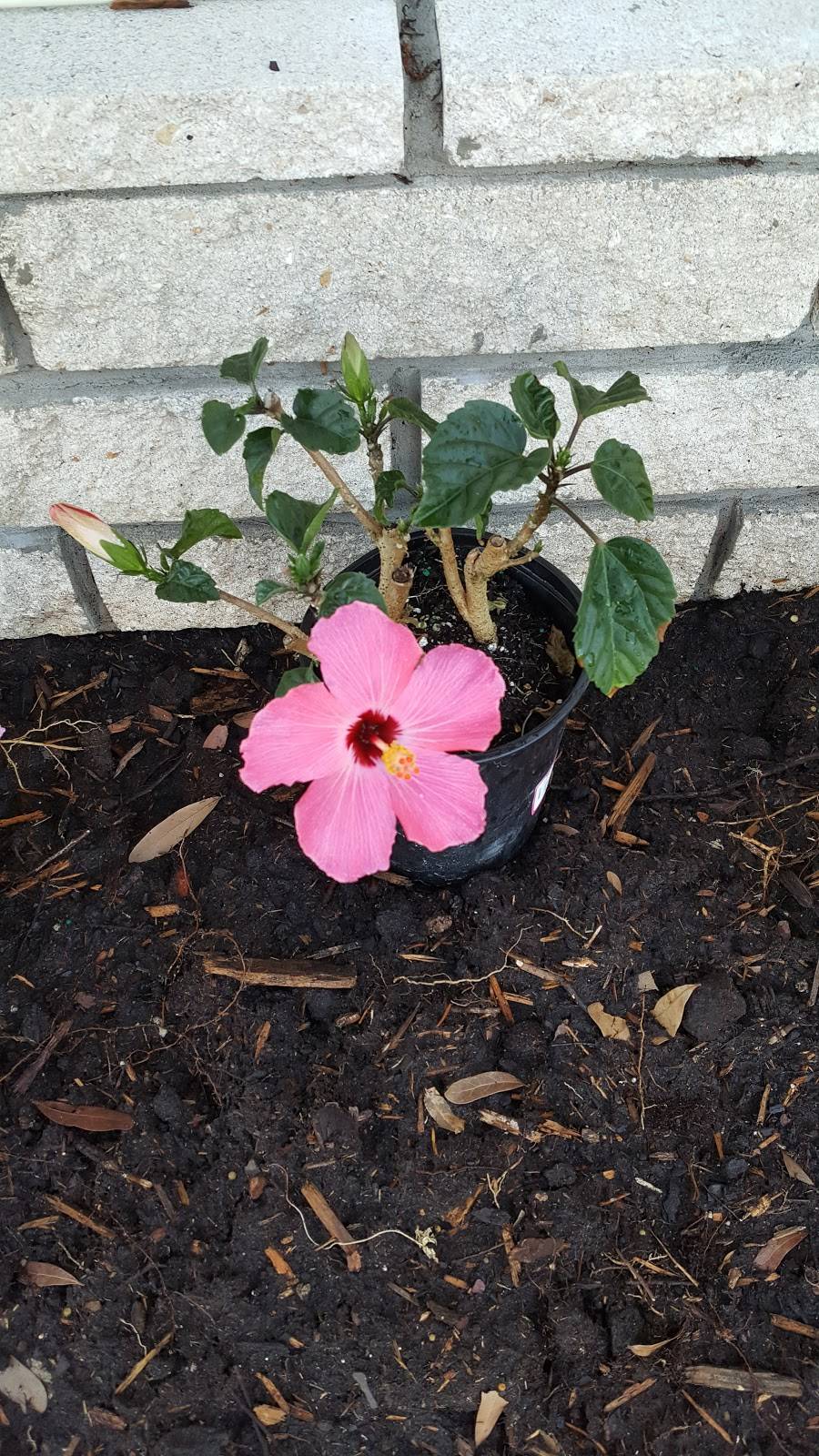 Fountainview Travel Resort | 8800 Berkshire Ln, Tampa, FL 33635, USA | Phone: (813) 884-3407