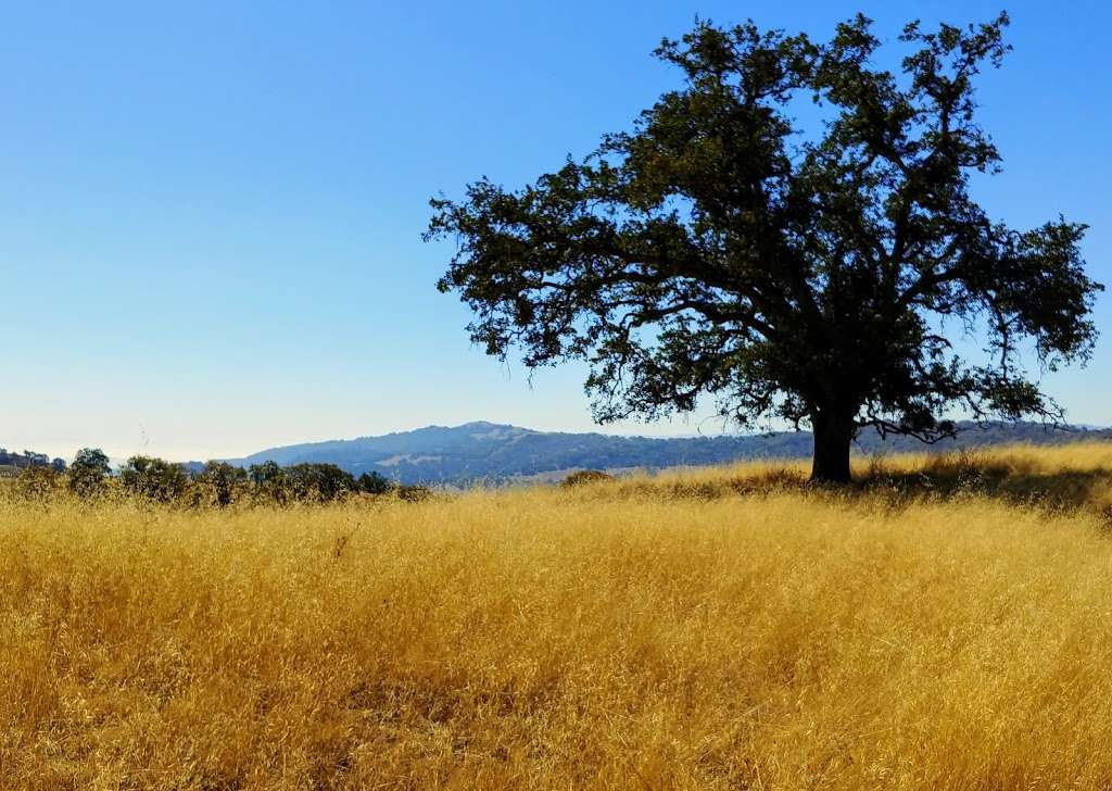 Antler Point Trail Overlook | San Jose, CA 95132, USA | Phone: (408) 274-6121