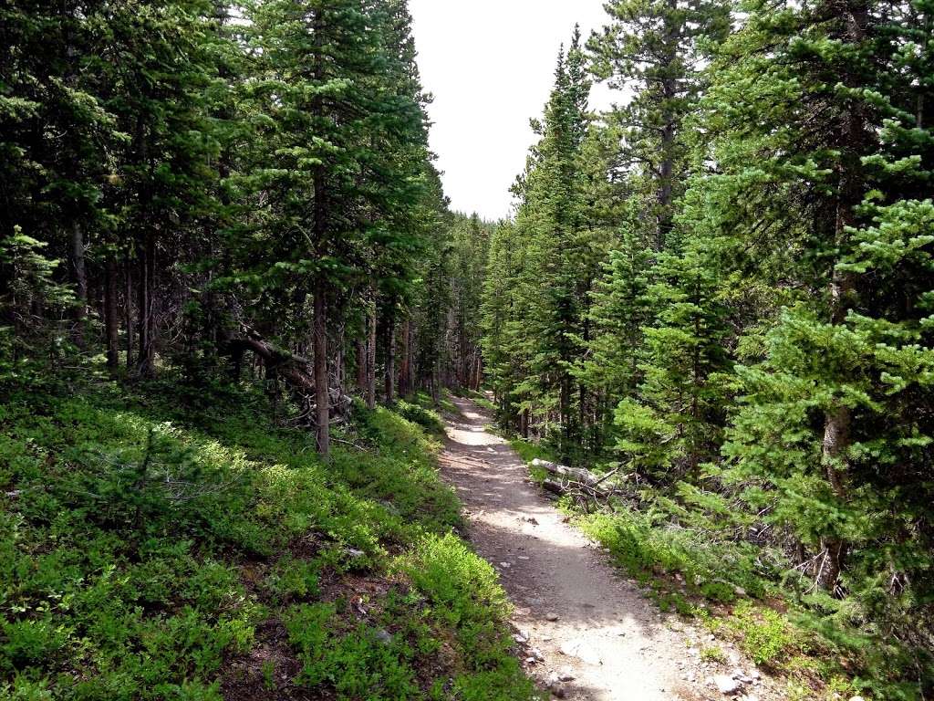 South Sourdough Trailhead | 115 Co Rd 116, Nederland, CO 80466, USA