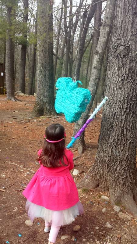 South Shore Natural Science Center | 48 Jacobs Ln, Norwell, MA 02061, USA | Phone: (781) 659-2559