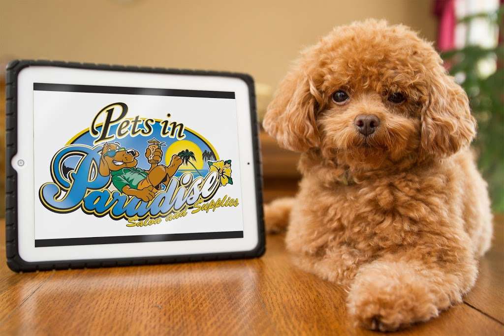 Pets in Paradise 2 | 3133 Quakerbridge Rd, Hamilton Township, NJ 08619, USA | Phone: (609) 249-4949