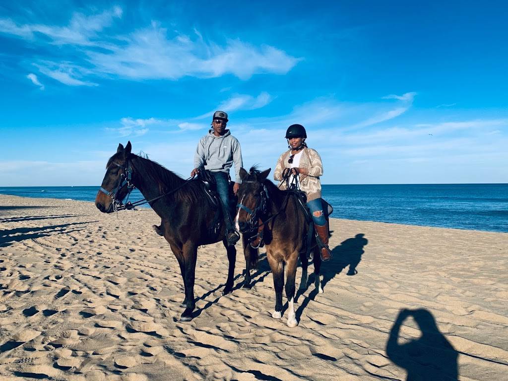 Virginia Beach | (OBX) Horseback | 26th St, Virginia Beach, VA 23451, USA | Phone: (757) 289-5470