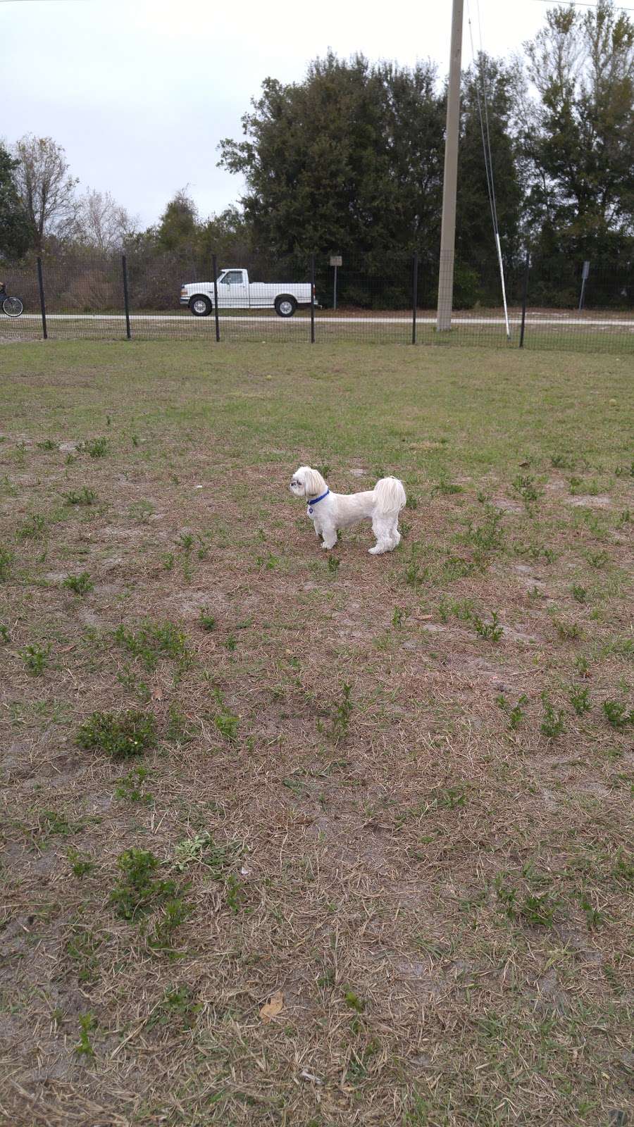 Leesburg Dog Park | 9745 Silver Lake Dr, Leesburg, FL 34788 | Phone: (352) 728-9886