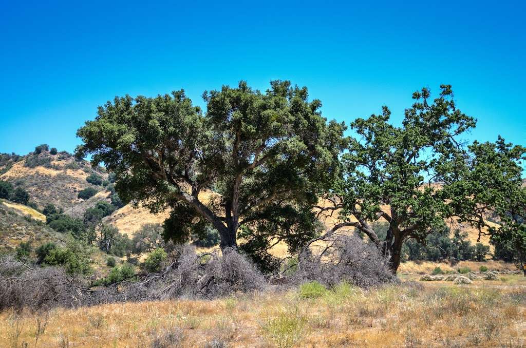 Malibu Creek State Park Trailhead SMHC | 1925 Las Virgenes Rd, Calabasas, CA 91301, USA