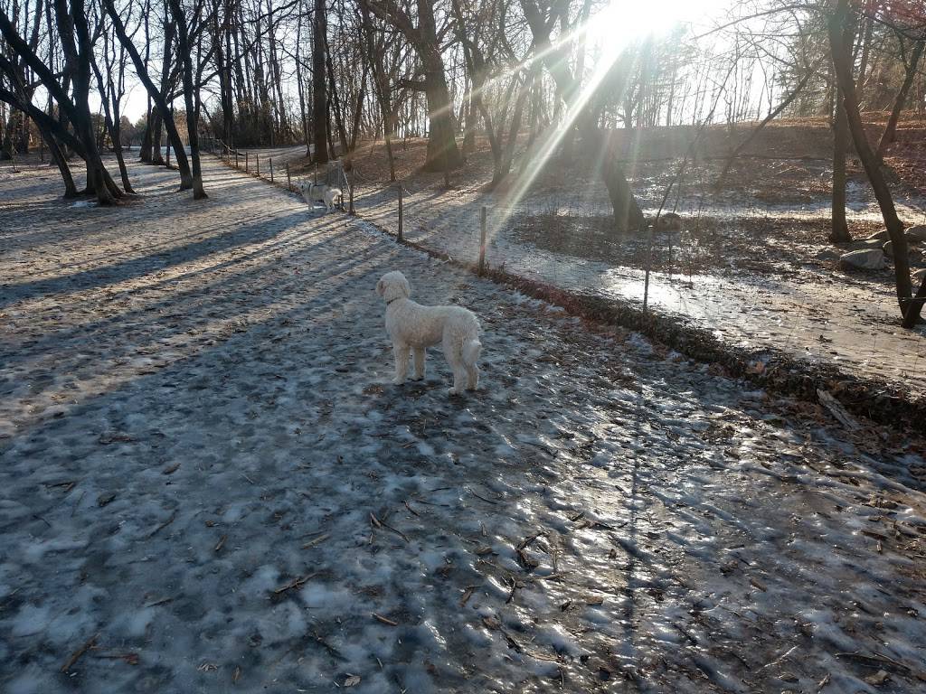 Otter Lake Off-leash Dog Area | 5750 Otter Lake Rd, White Bear Township, MN 55110, USA | Phone: (651) 748-2500