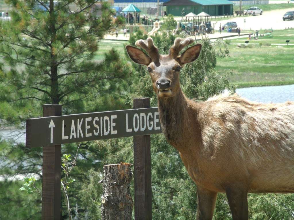 Estes Lake Lodge | 1850 N St Vrain Ave, Estes Park, CO 80517, USA | Phone: (970) 779-7455