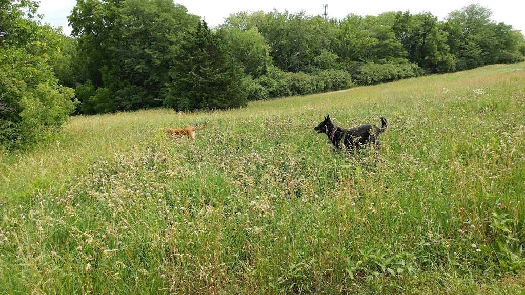 Heritage Park Dog Off-Leash Area | 16050 S Pflumm Rd, Olathe, KS 66062, USA | Phone: (913) 831-3355