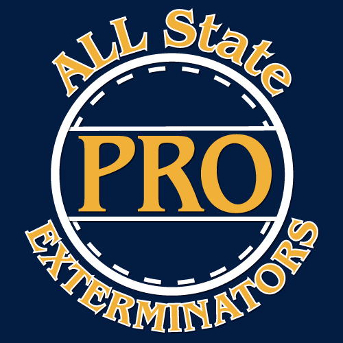 All State Pro Exterminators | 564 Union Ave, Bridgewater, NJ 08807 | Phone: (732) 672-2270