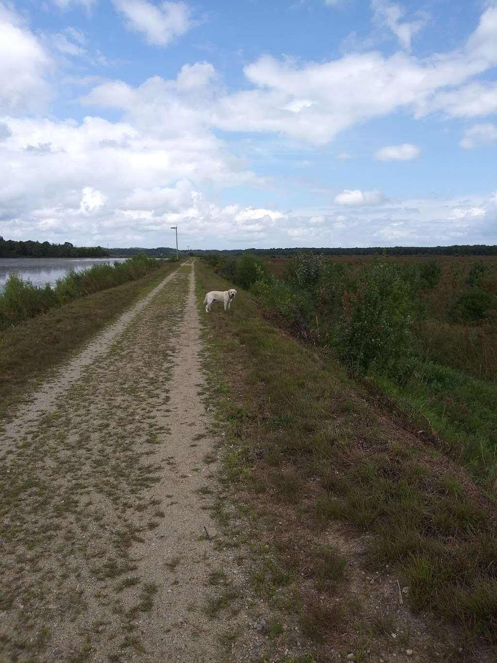 Burrage Pond | Burrage Pond - Lower Reservoir, Halifax, MA 02338, Halifax, MA 02338, USA