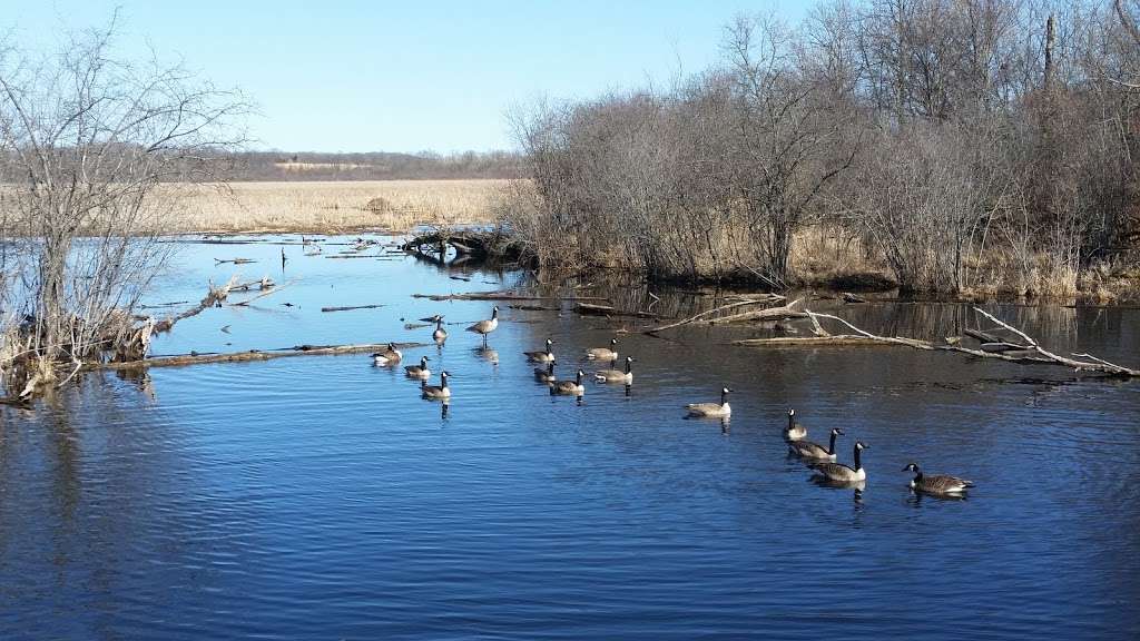 Volo Bog State Natural Area | 28478 W Brandenburg Rd, Ingleside, IL 60041 | Phone: (815) 344-1294