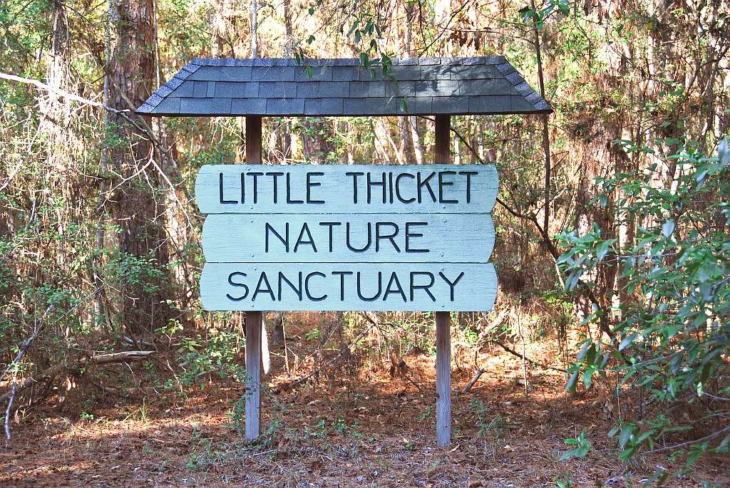 LTNS (Little Thicket Nature Sanctuary) | Cleveland, TX 77328