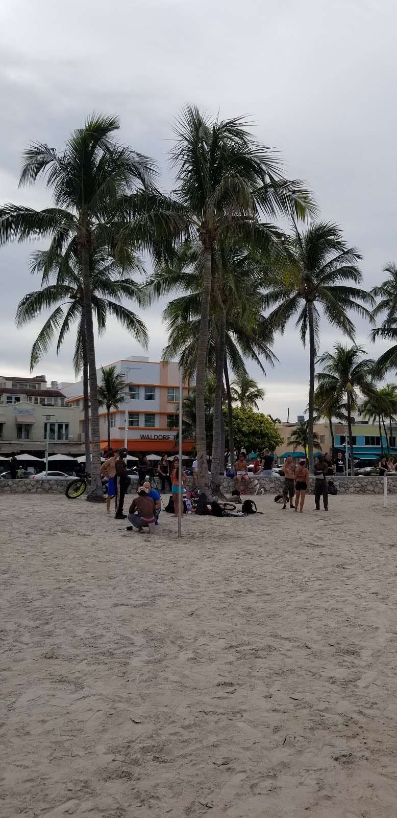 Calisthenics Public Gym | 873 Ocean Dr #801, Miami Beach, FL 33139, USA