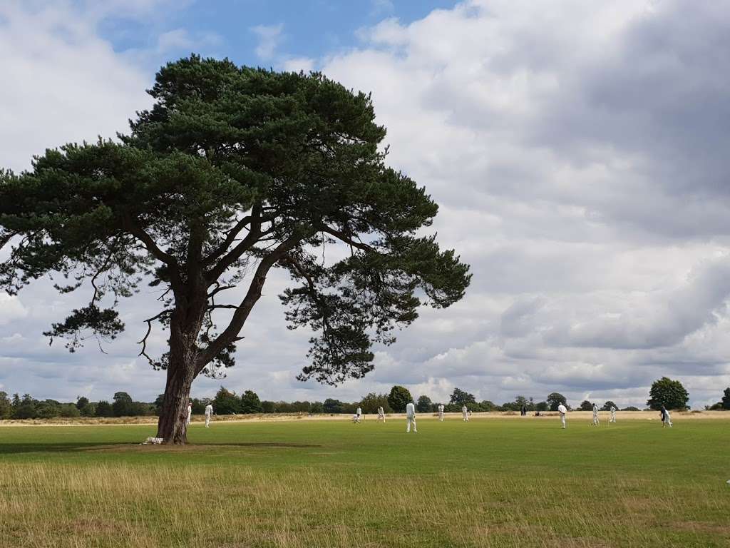 Knole Park | Sevenoaks TN15 0RP, UK