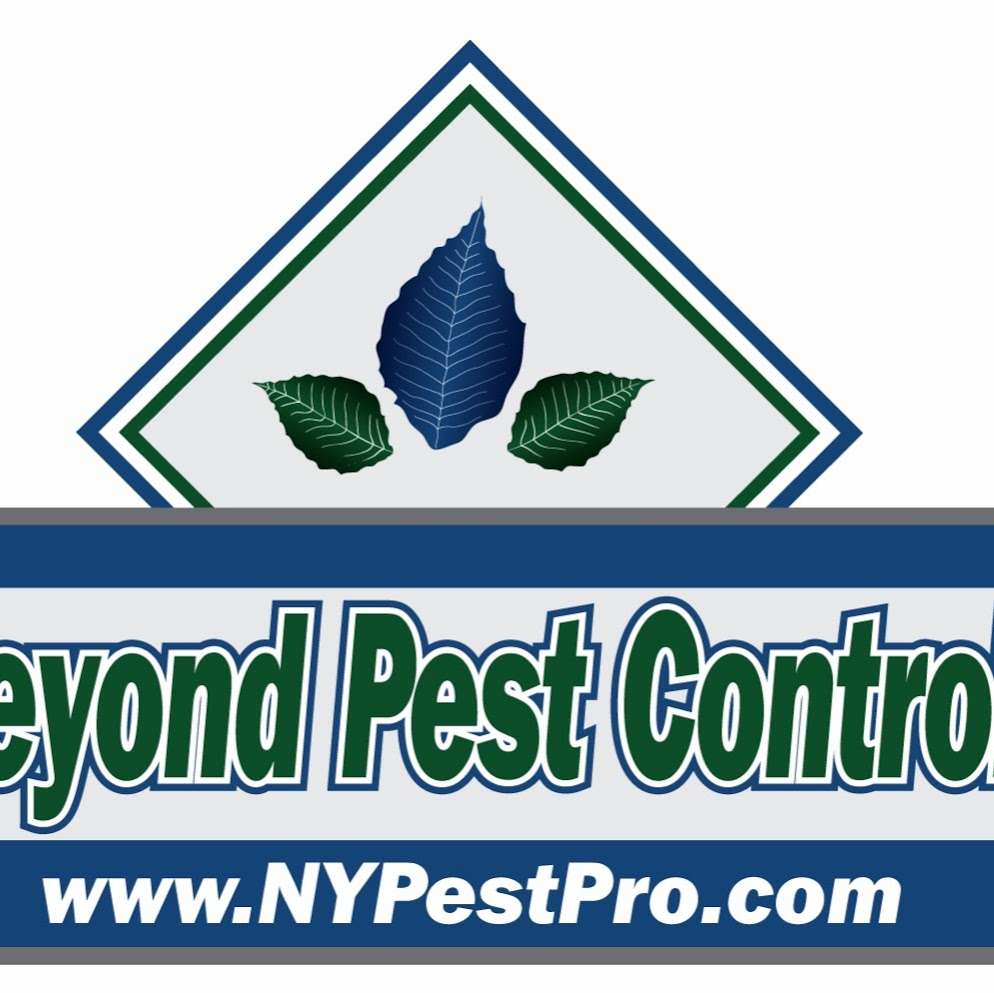 Beyond Pest Control | 26-38 21st St, Astoria, NY 11102, USA | Phone: (718) 777-2345