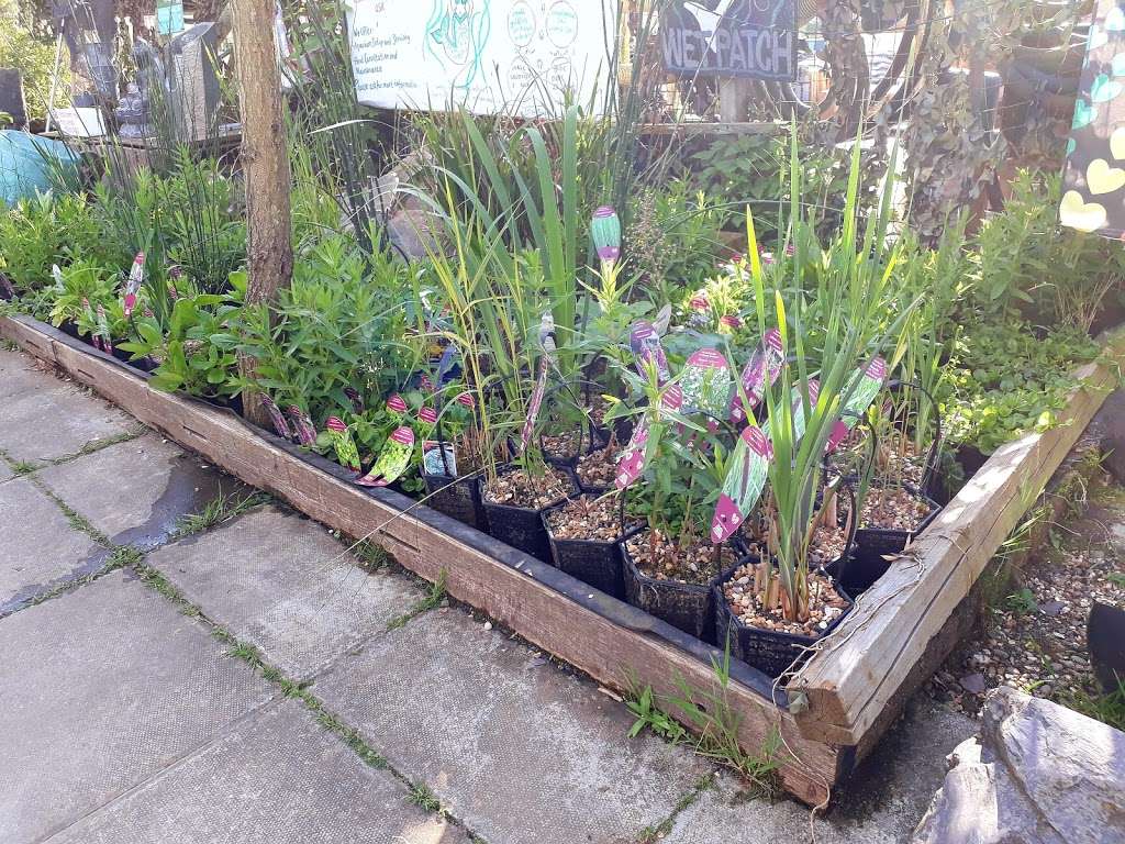 Pond Life Aquatics | Finchley Nurseries,Burtonhole Lane, London NW7 1AS, UK | Phone: 020 8906 9916
