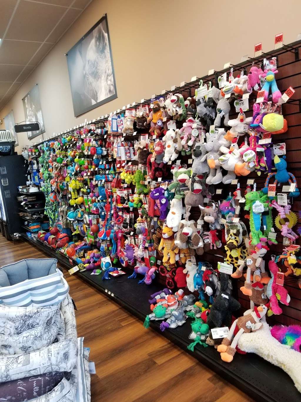 Pet Valu | 141 Us 130 South, Cinnaminson, NJ 08077, USA | Phone: (856) 389-5608