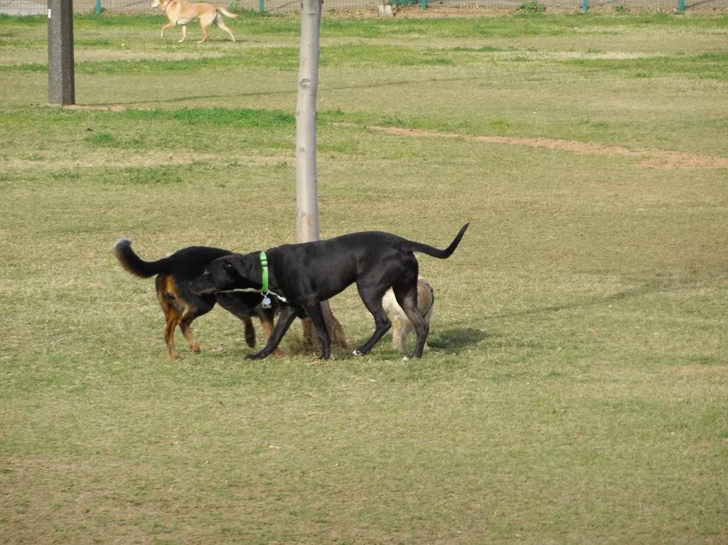 PetSmart Dog Park | 6655 N 23rd Ave, Phoenix, AZ 85015, USA | Phone: (602) 262-6971