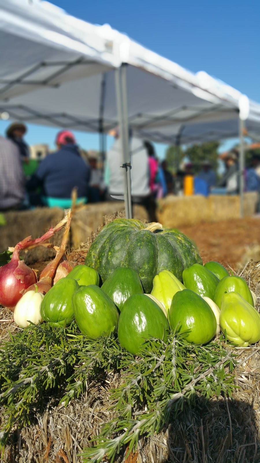 Camino del Sol Community Garden | Oxnard, CA 93030, USA