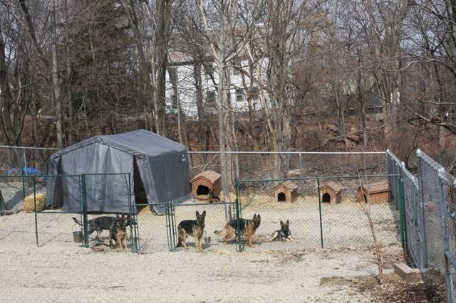 Abby Kennels | 28 Gorham St, Chelmsford, MA 01824, USA | Phone: (978) 454-8718