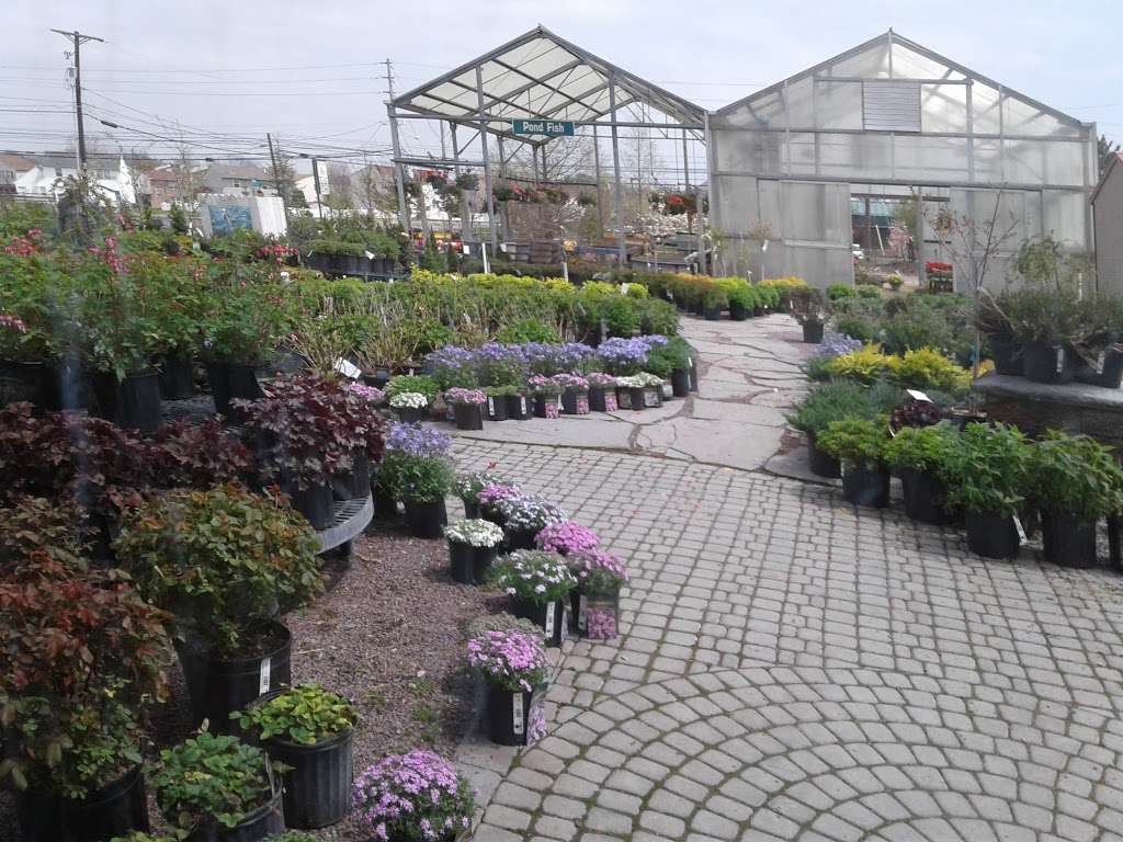 Palmer Nursery | 2210 Corriere Rd Unit A, Easton, PA 18045, USA | Phone: (610) 253-0948