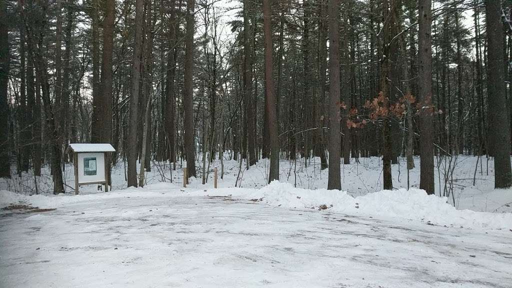 Mass Audubons Nashoba Brook Wildlife Sanctuary | Concord Rd, Westford, MA 01886, USA | Phone: (978) 464-2712