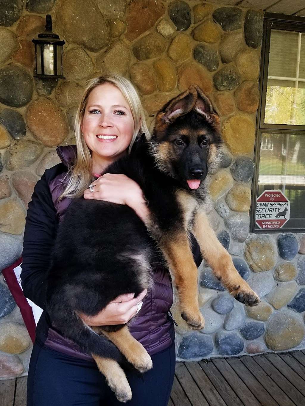 Regis Regal German Shepherds | 1710 IL-173, Spring Grove, IL 60081, USA | Phone: (847) 721-1908