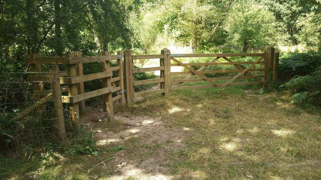 Danemead Nature Reserve | Cock Ln, Broxbourne, Hoddesdon EN11 8GG, UK | Phone: 01727 858901