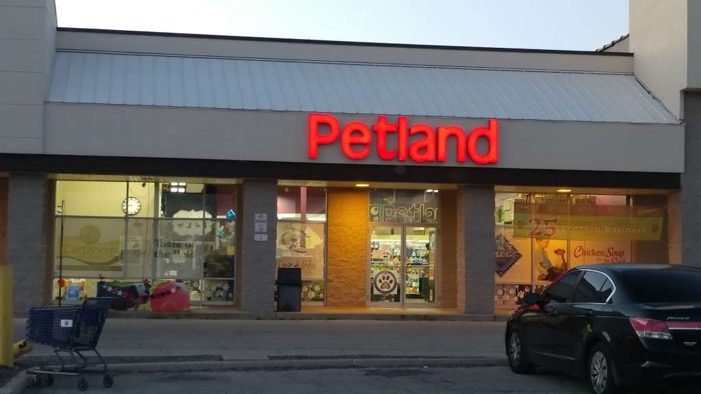 Petland Naperville | 720 IL-59 #112, Naperville, IL 60540 | Phone: (630) 357-3801