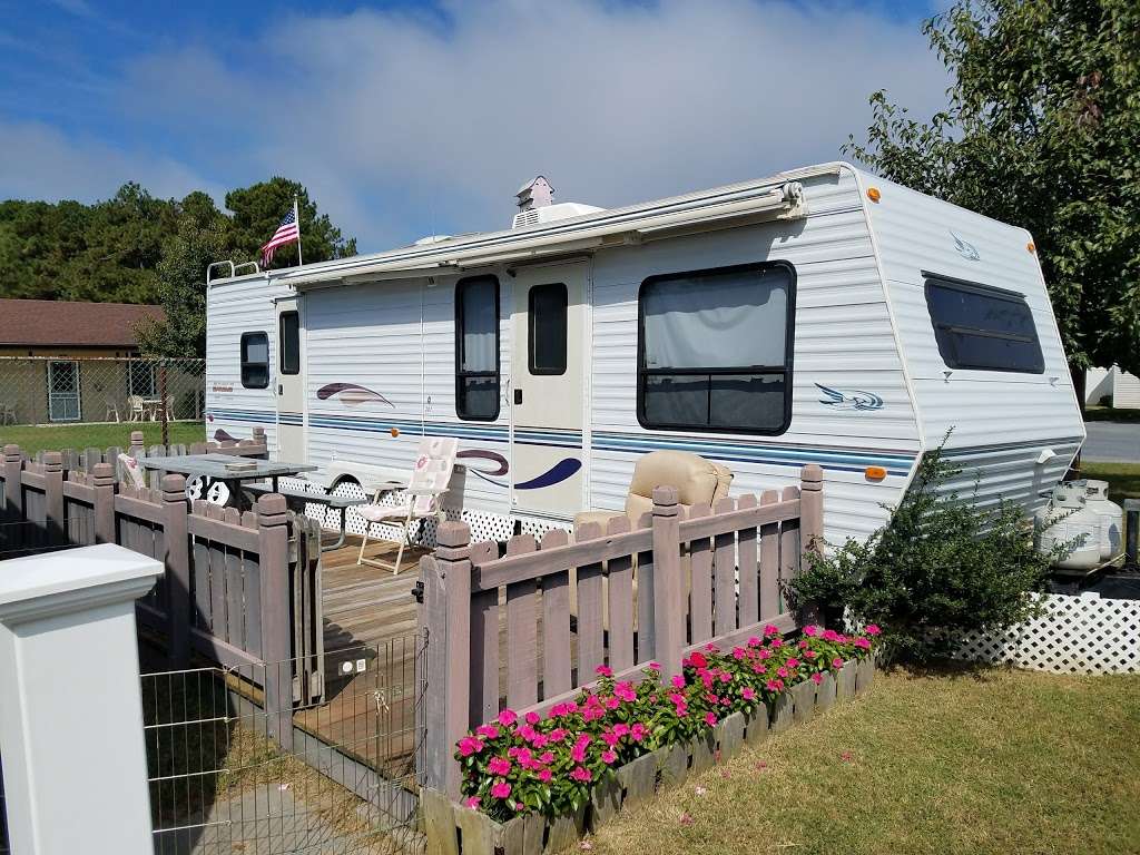 Pine Tree Campground | 38452 Resort RV Cir # 1, Ocean View, DE 19970, USA | Phone: (302) 539-7006