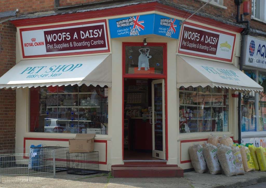 Woofs A Daisy | 36 Coombe Rd, Kingston upon Thames KT2 7AG, UK | Phone: 020 8549 3469
