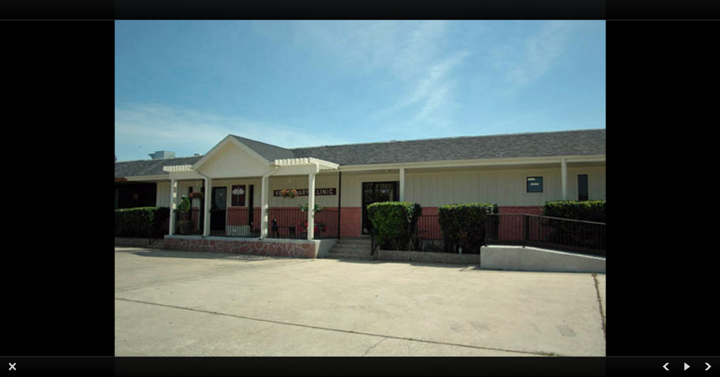 Galveston Veterinary Clinic | 2108 61st St, Galveston, TX 77551, USA | Phone: (409) 744-5355