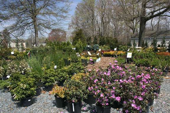 Country Garden Center Inc | 2800 Creswell Rd, Bel Air, MD 21015, USA | Phone: (410) 838-9320
